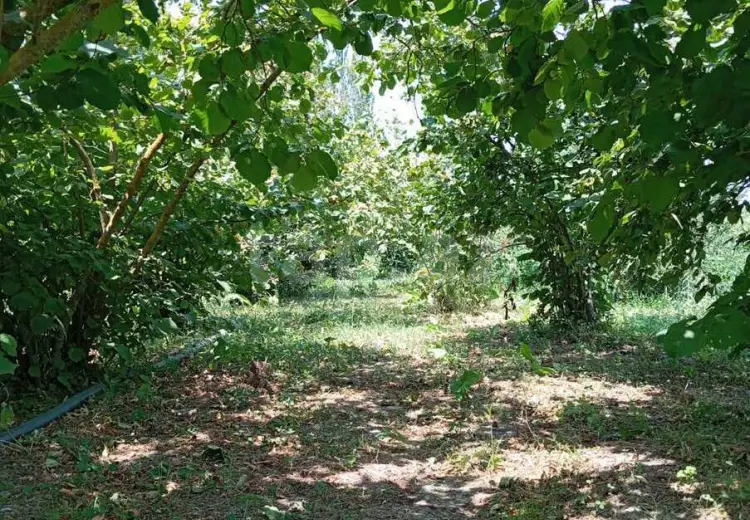 0 m² Obyekt / Ofis , Xaçmaz