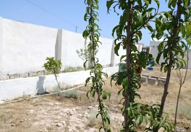0 m² Obyekt / Ofis , Türkan, Xəzər, Bakı