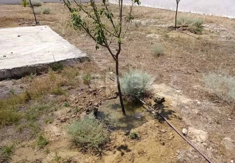 0 m² Obyekt / Ofis , Türkan, Xəzər, Bakı