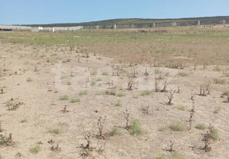 0 m² Obyekt / Ofis , Mehdiabad, Abşeron