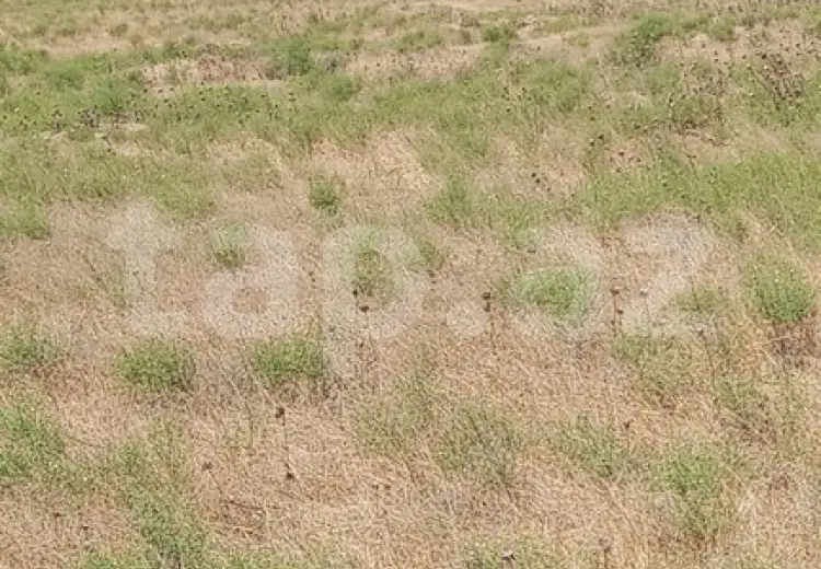0 m² Obyekt / Ofis , Mehdiabad, Abşeron