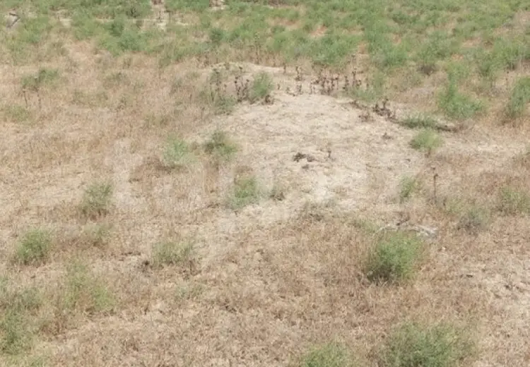 0 m² Obyekt / Ofis , Mehdiabad, Abşeron