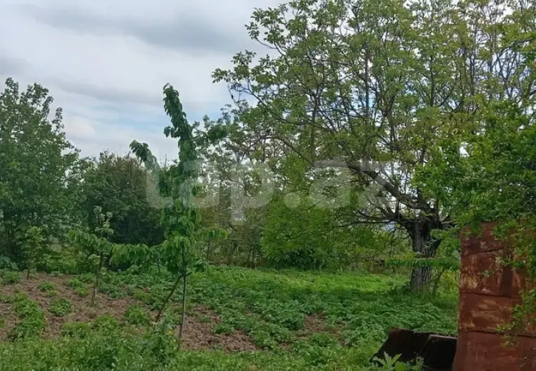 15 otaqlı mənzil , Şamaxı