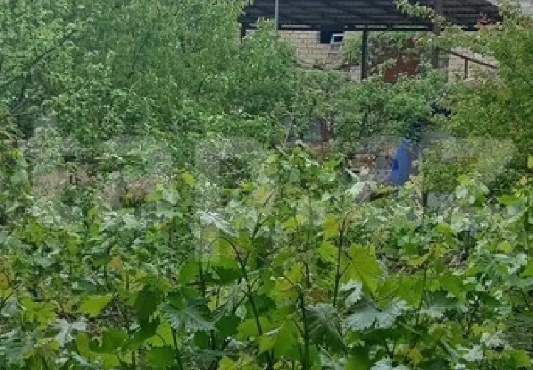 15 otaqlı mənzil , Şamaxı