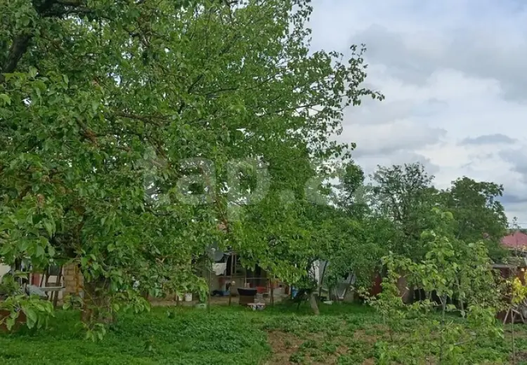 15 otaqlı mənzil , Şamaxı