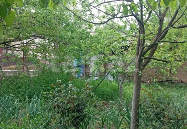 15 otaqlı mənzil , Şamaxı