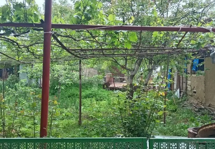 15 otaqlı mənzil , Şamaxı