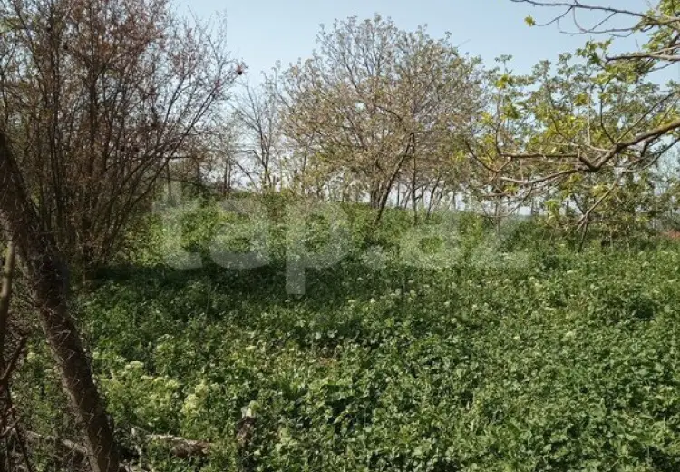 15 otaqlı mənzil , Şamaxı