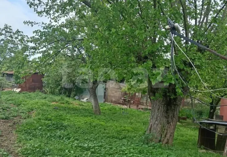 15 otaqlı mənzil , Şamaxı