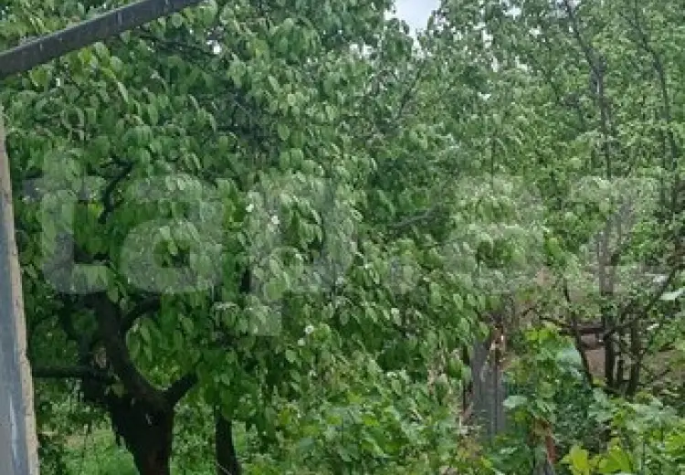15 otaqlı mənzil , Şamaxı