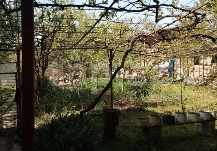 15 otaqlı mənzil , Şamaxı