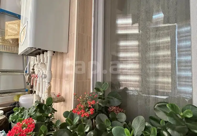 3 otaqlı mənzil , Sumqayıt