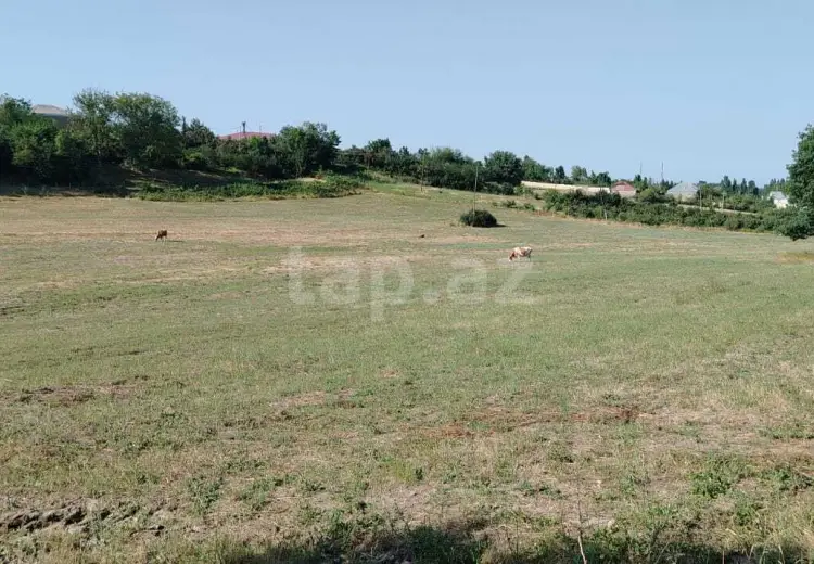 0 m² Obyekt / Ofis , Qusar