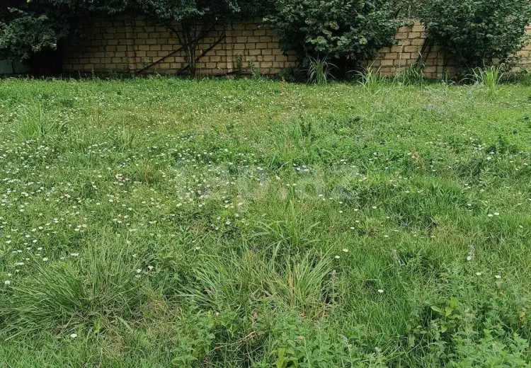 0 m² Obyekt / Ofis , Quba