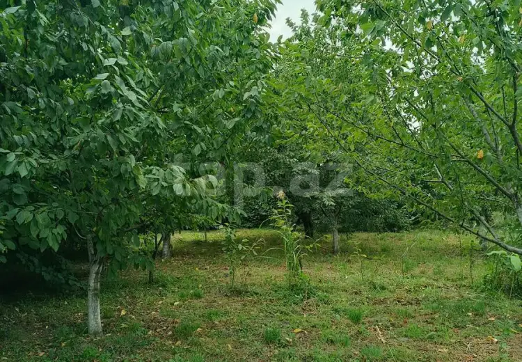 0 m² Obyekt / Ofis , Quba