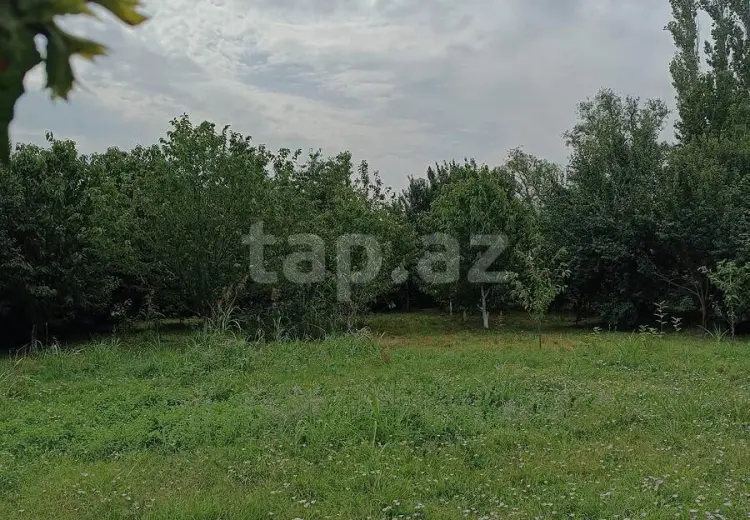 0 m² Obyekt / Ofis , Quba