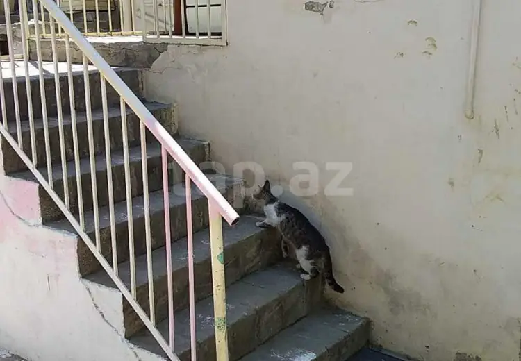 3 otaqlı mənzil Kirayə (aylıq), 6-cı mikrorayon, Binəqədi, Bakı