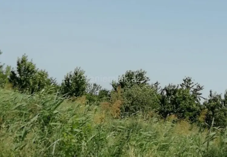 24 sot Torpaq Satılır, Xaçmaz