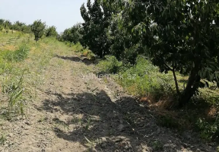 24 sot Torpaq Satılır, Xaçmaz