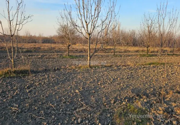 24 sot Torpaq Satılır, Xaçmaz