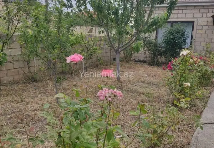 3 otaqlı mənzil Satılır, Şamaxı