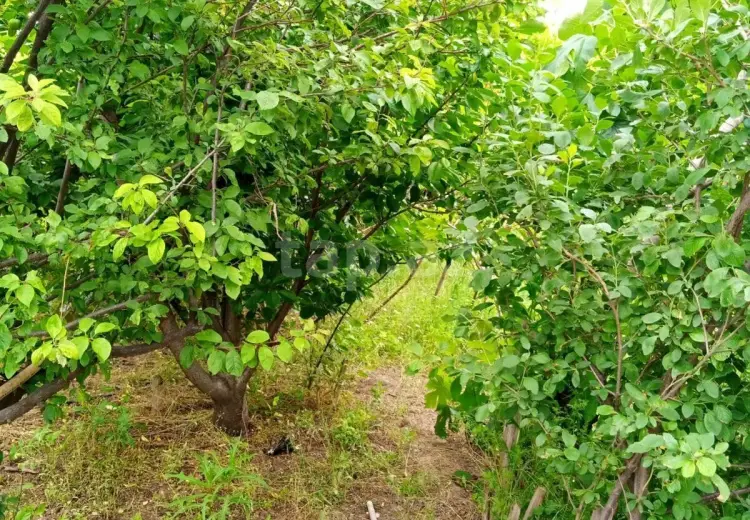 1 otaqlı mənzil , Sumqayıt
