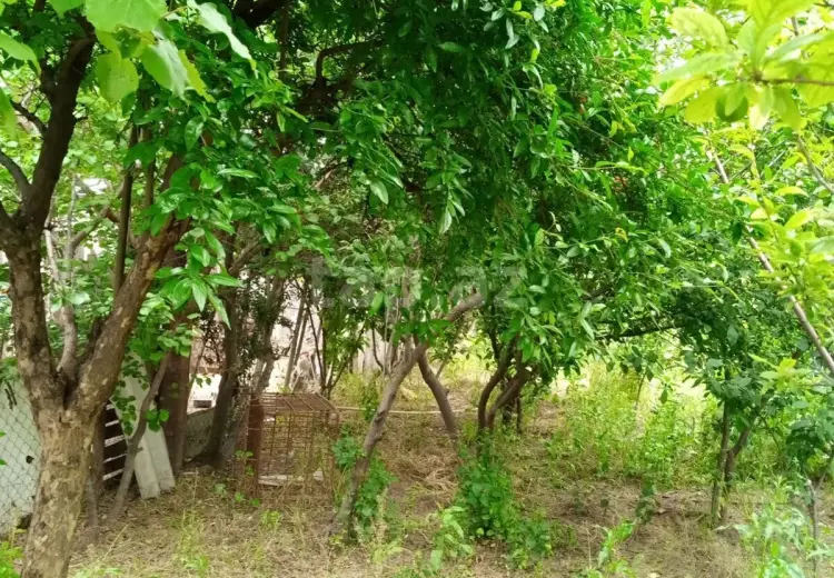 1 otaqlı mənzil , Sumqayıt