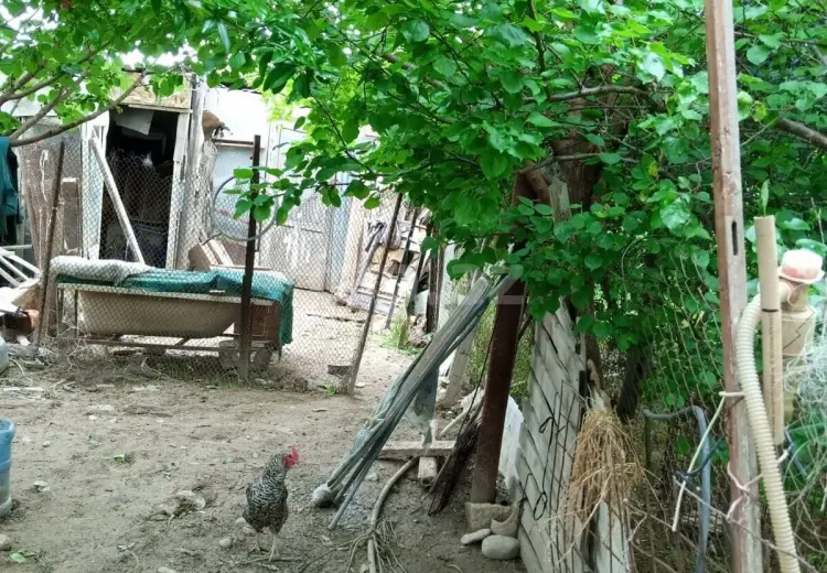 1 otaqlı mənzil , Sumqayıt