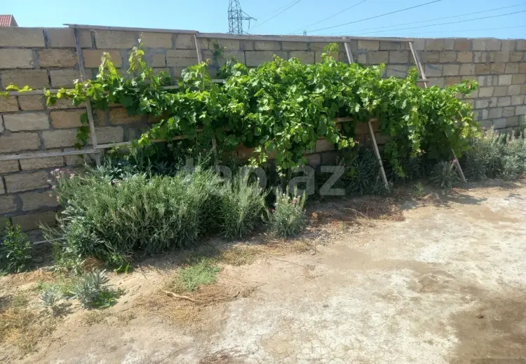2 otaqlı mənzil , Sumqayıt