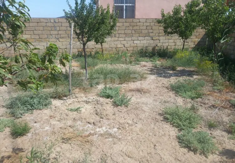 2 otaqlı mənzil , Sumqayıt