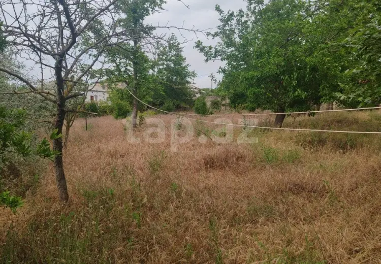 0 m² Obyekt / Ofis , Saray, Abşeron