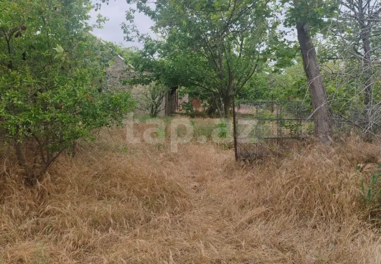 0 m² Obyekt / Ofis , Saray, Abşeron