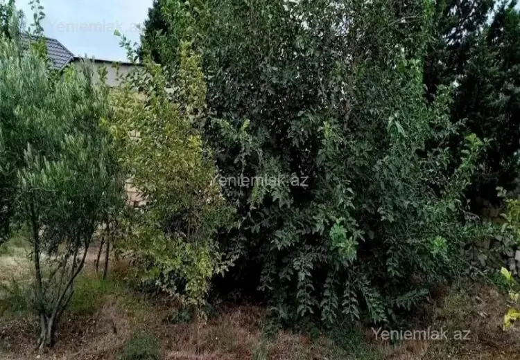 6 sot Torpaq Satılır, Sumqayıt