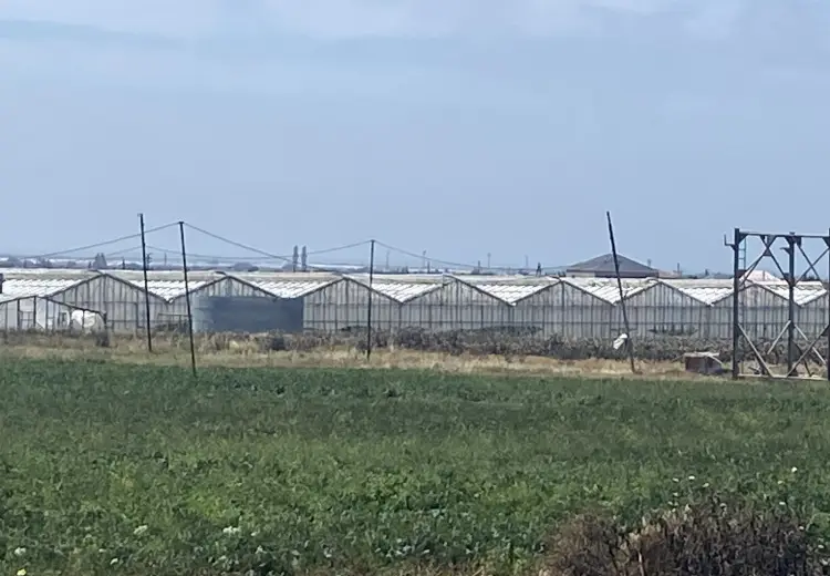 800 sot Torpaq Satılır, Zirə, Xəzər, Bakı