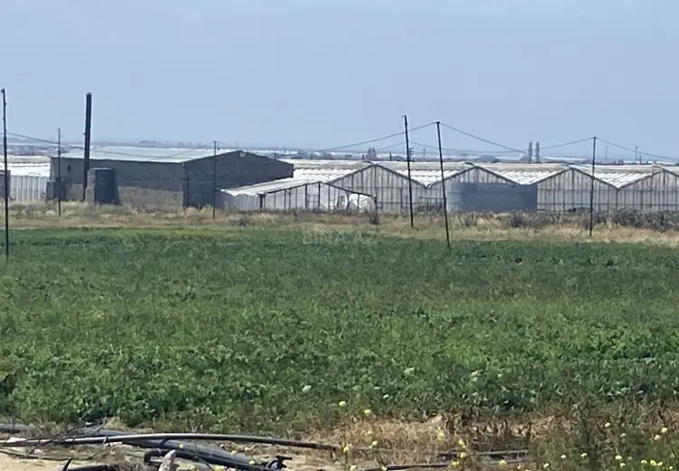 800 sot Torpaq Satılır, Zirə, Xəzər, Bakı