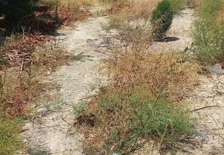 4 sot Torpaq Satılır, Badamdar qəs., Səbail, Bakı