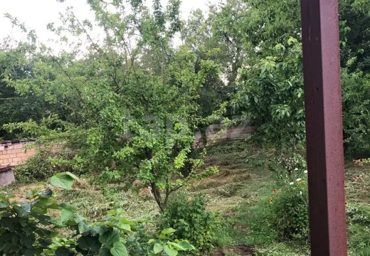 4 otaqlı mənzil , Qəbələ