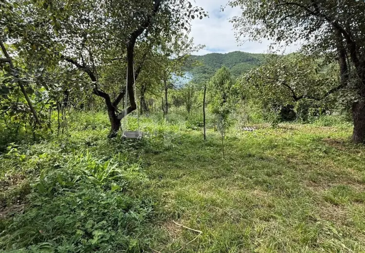 0 m² Obyekt / Ofis , Quba
