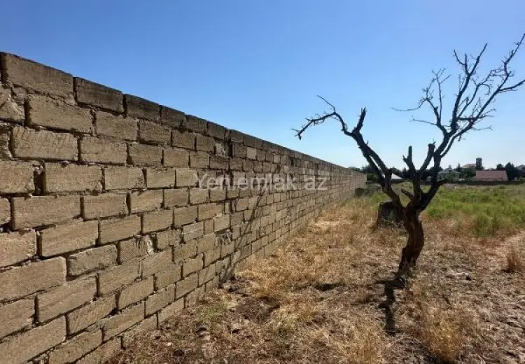 25 sot Torpaq Satılır, Qurd dərəsi, Sumqayıt
