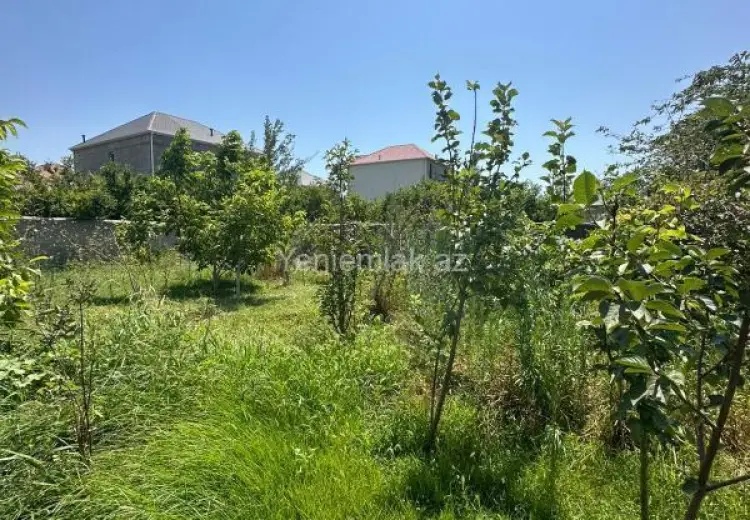 4.5 sot Torpaq Satılır, Qurd dərəsi, Sumqayıt