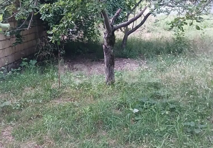 0 m² Obyekt / Ofis , İsmayıllı