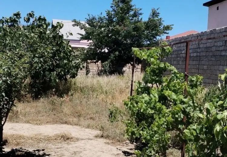 12 sot Torpaq Satılır, Qala, Xəzər, Bakı