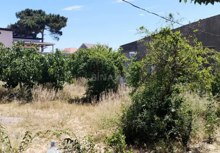 12 sot Torpaq Satılır, Qala, Xəzər, Bakı
