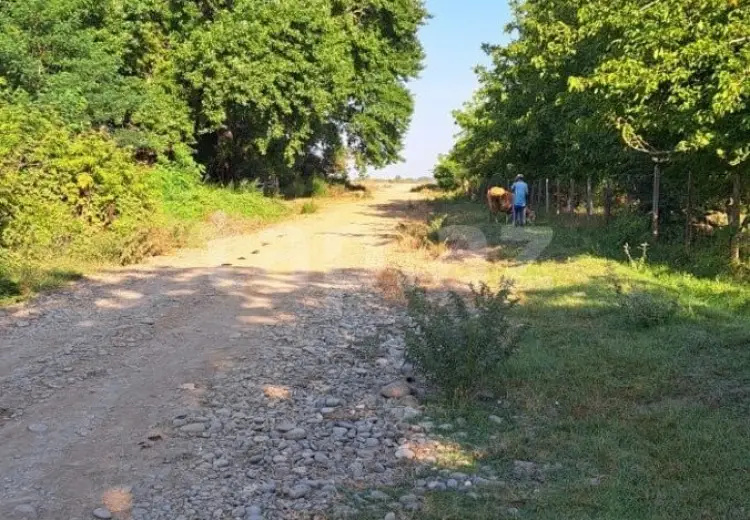0 m² Obyekt / Ofis , Xaçmaz