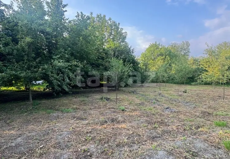 0 m² Obyekt / Ofis , Qəbələ