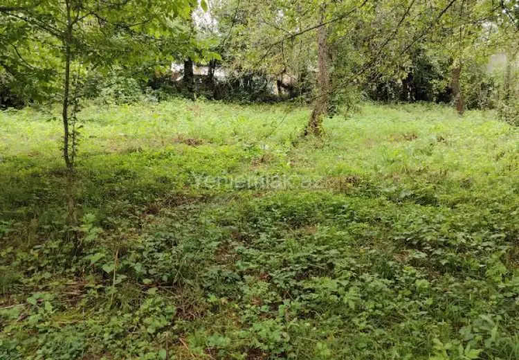 3 sot Torpaq Kirayə (günlük), Quba