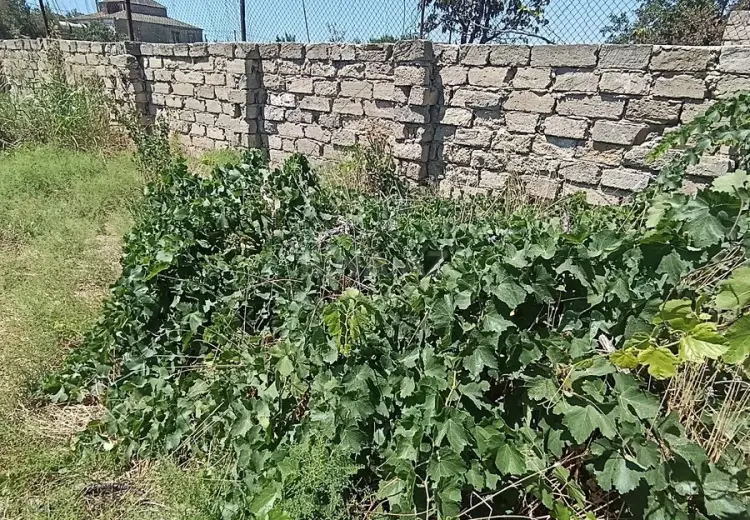 6 sot Torpaq Satılır, Türkan, Xəzər, Bakı