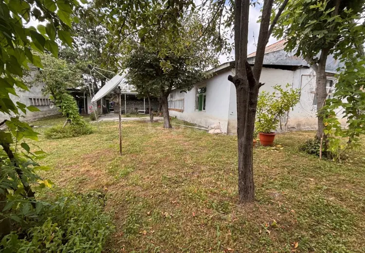 0 m² Obyekt / Ofis , Qəbələ