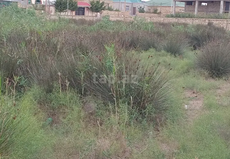 0 m² Obyekt / Ofis , Digah, Abşeron