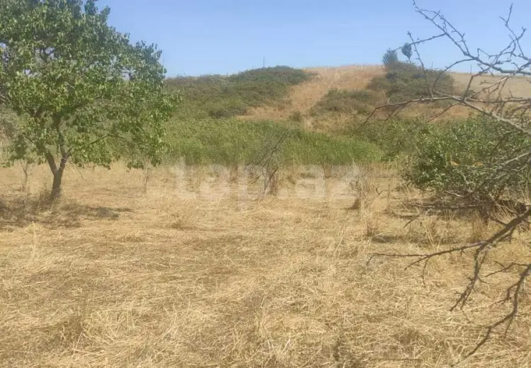 0 m² Obyekt / Ofis , Şamaxı
